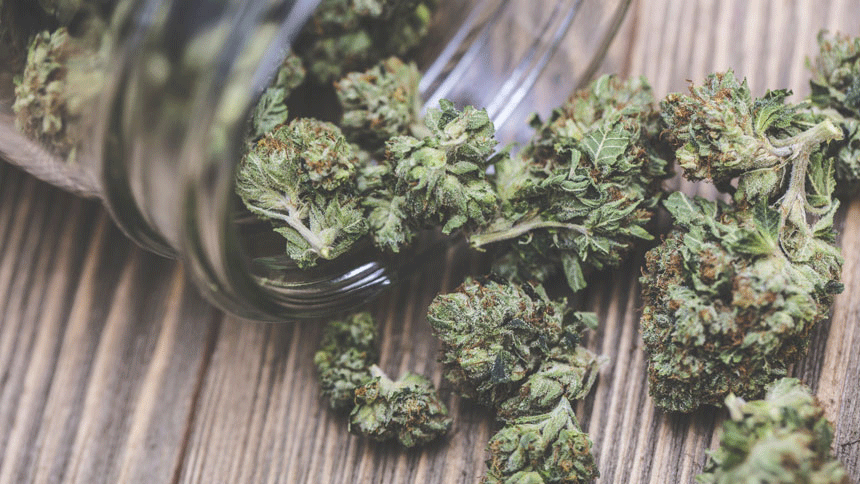 Venta Perkin Elmer Costa Rica Nicaragua Belice Panamá PerkinElmer